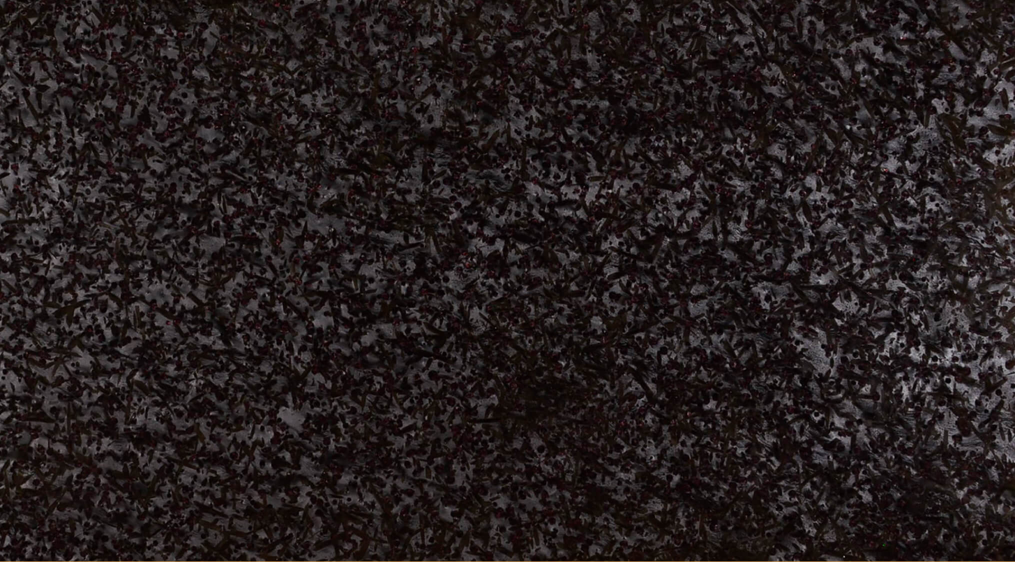 Another alt text